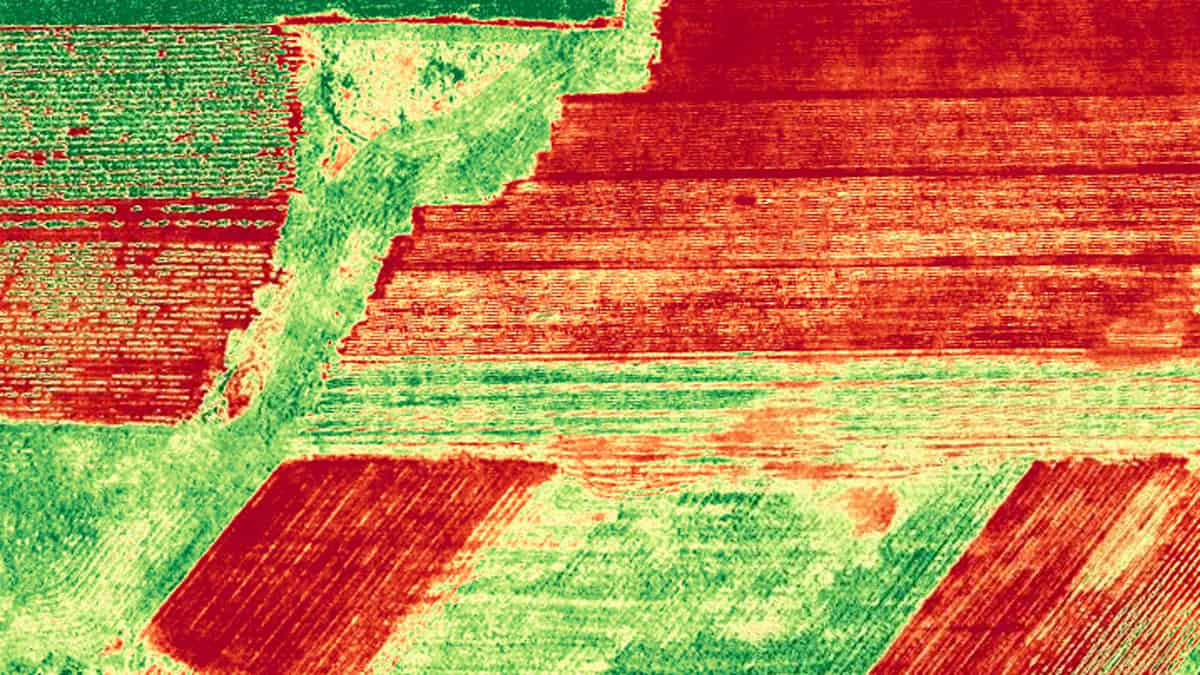 ndvi farm crop health image