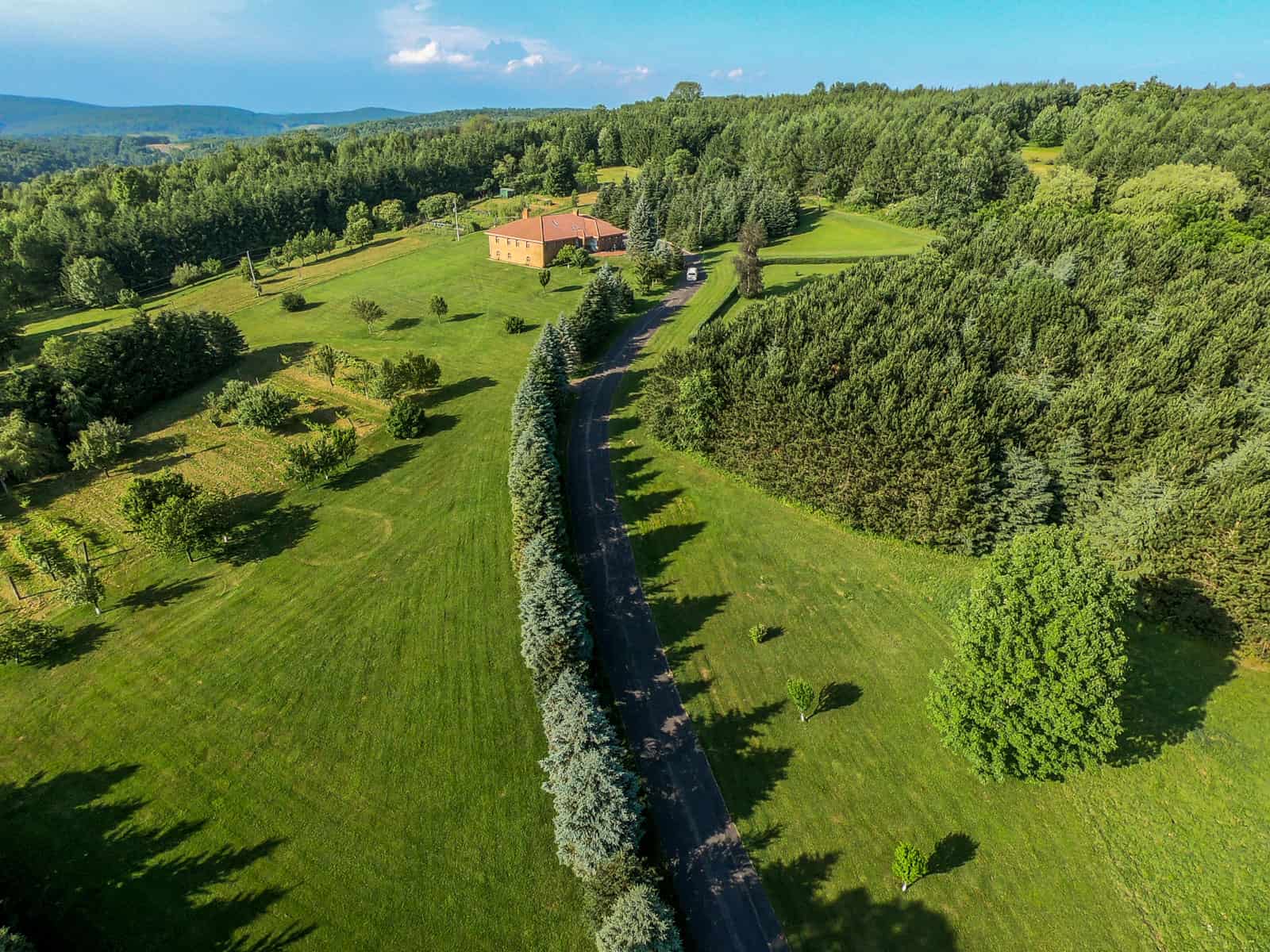 drone photo of house in upstate New York surrounded by pine trees and lush, green grass