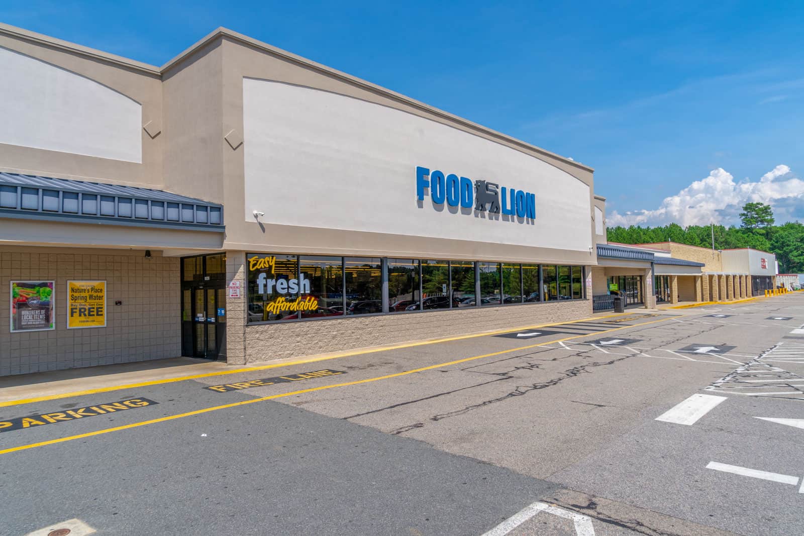 foold lion grocery store