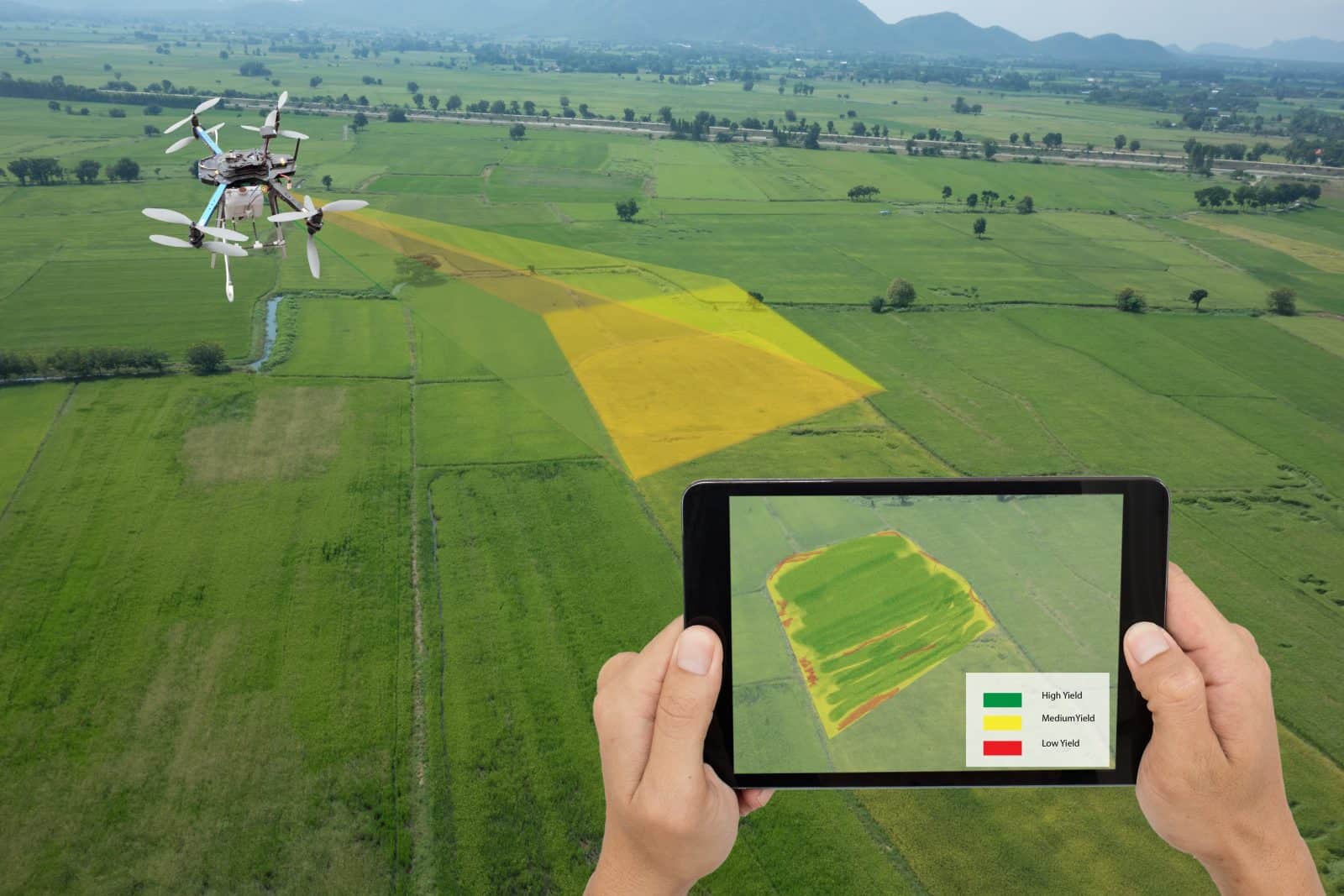 Aerial mapping serives